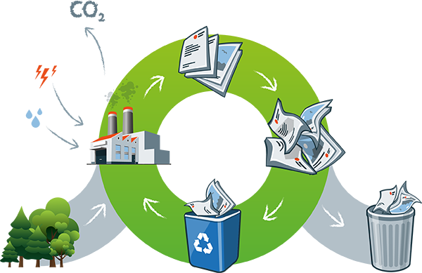 découvrez l'importance du recyclage pour la préservation de notre planète. apprenez comment trier vos déchets, réduire votre empreinte écologique et contribuer à un avenir durable grâce à des pratiques de recyclage efficaces.