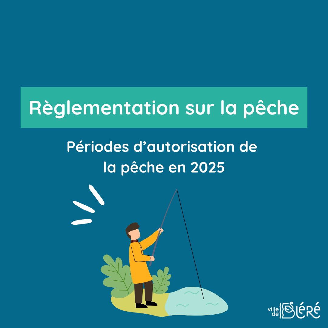 découvrez les principales réglementations en vigueur, leur impact sur les entreprises et les particuliers, ainsi que les conseils pour rester conforme aux lois en constante évolution.