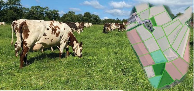 découvrez l'univers de la rénovation agricole : modernisez vos exploitations, améliorez l'efficacité de vos équipements et adoptez des pratiques durables pour un avenir agricole prospère.