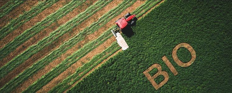 découvrez les enjeux et les opportunités de la conversion agricole, un processus essentiel pour une agriculture durable et respectueuse de l'environnement. explorez comment s'adapter aux nouvelles pratiques écologiques tout en préservant la qualité des récoltes.