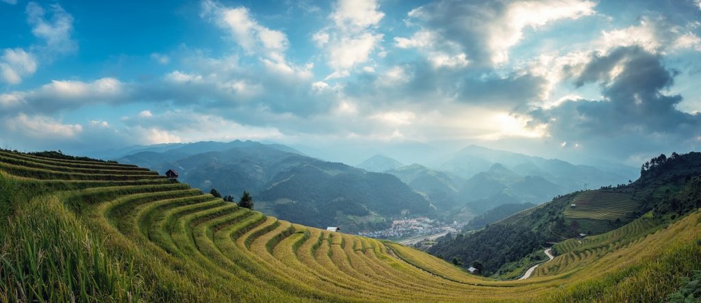découvrez des stratégies efficaces pour valoriser votre terrain agricole et maximiser son potentiel. apprenez à optimiser l'utilisation de votre terrain, à améliorer sa fertilité et à explorer des options telles que l'agriculture durable, la diversification des cultures et l'innovation technologique. donnez un nouvel élan à votre exploitation agricole et accédez à de nouvelles opportunités économiques.