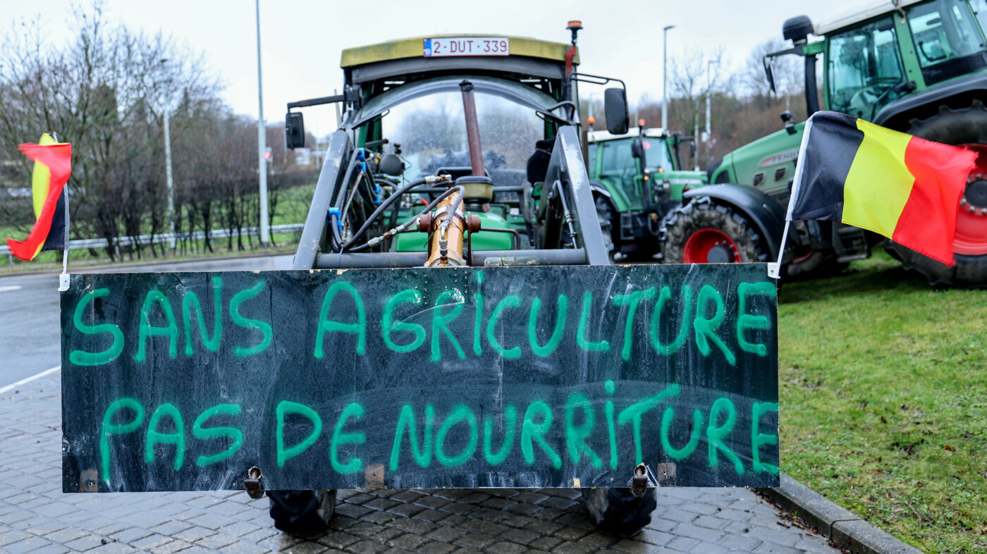 découvrez les clés de la rentabilité en agriculture : techniques innovantes, gestion des ressources et stratégies de marché pour maximiser vos profits tout en respectant l'environnement.
