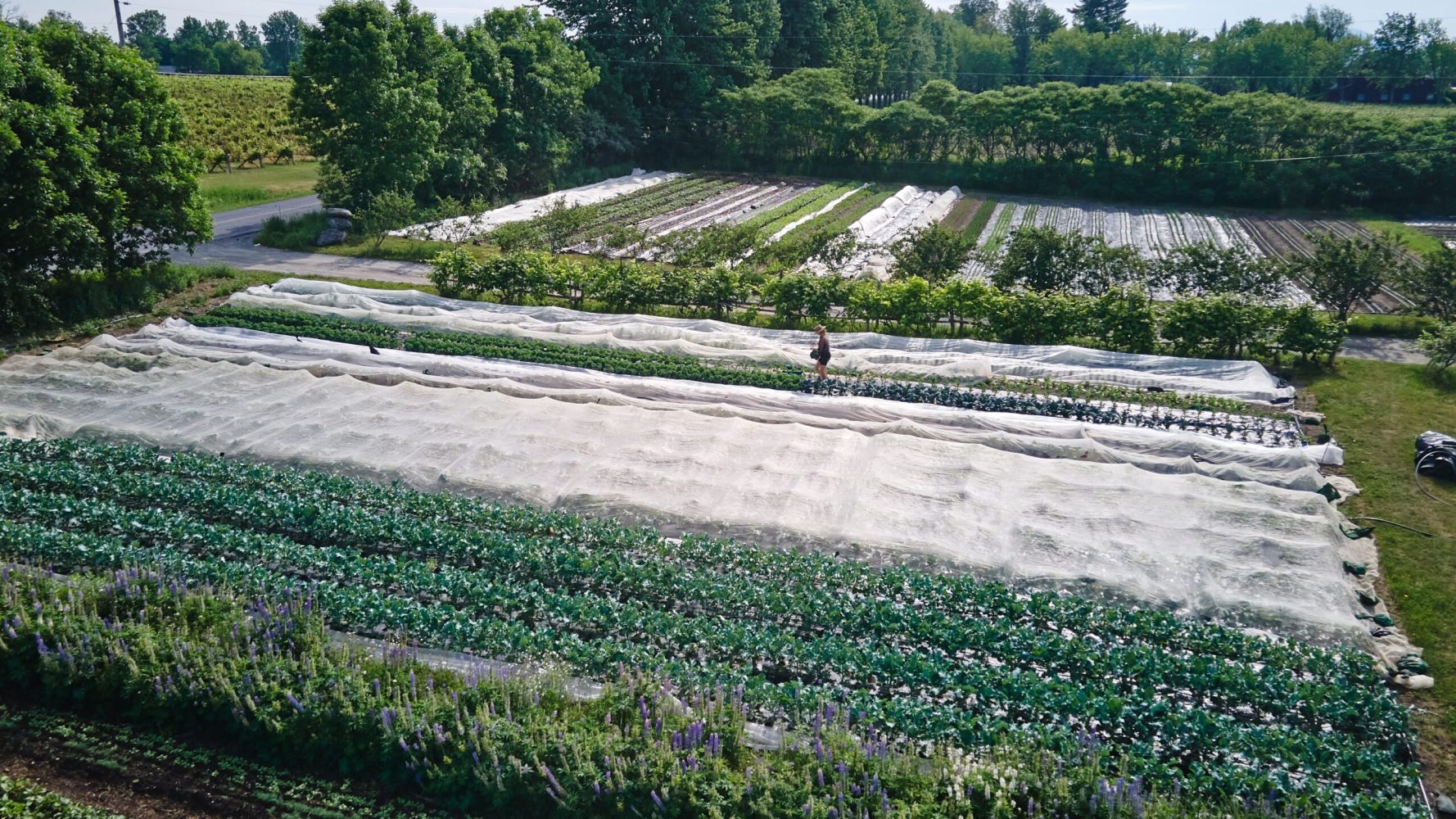 découvrez comment maximiser la rentabilité de votre exploitation agricole grâce à des stratégies efficaces, des techniques innovantes et une gestion optimisée des ressources. informez-vous sur les meilleures pratiques pour augmenter vos profits tout en respectant l'environnement.