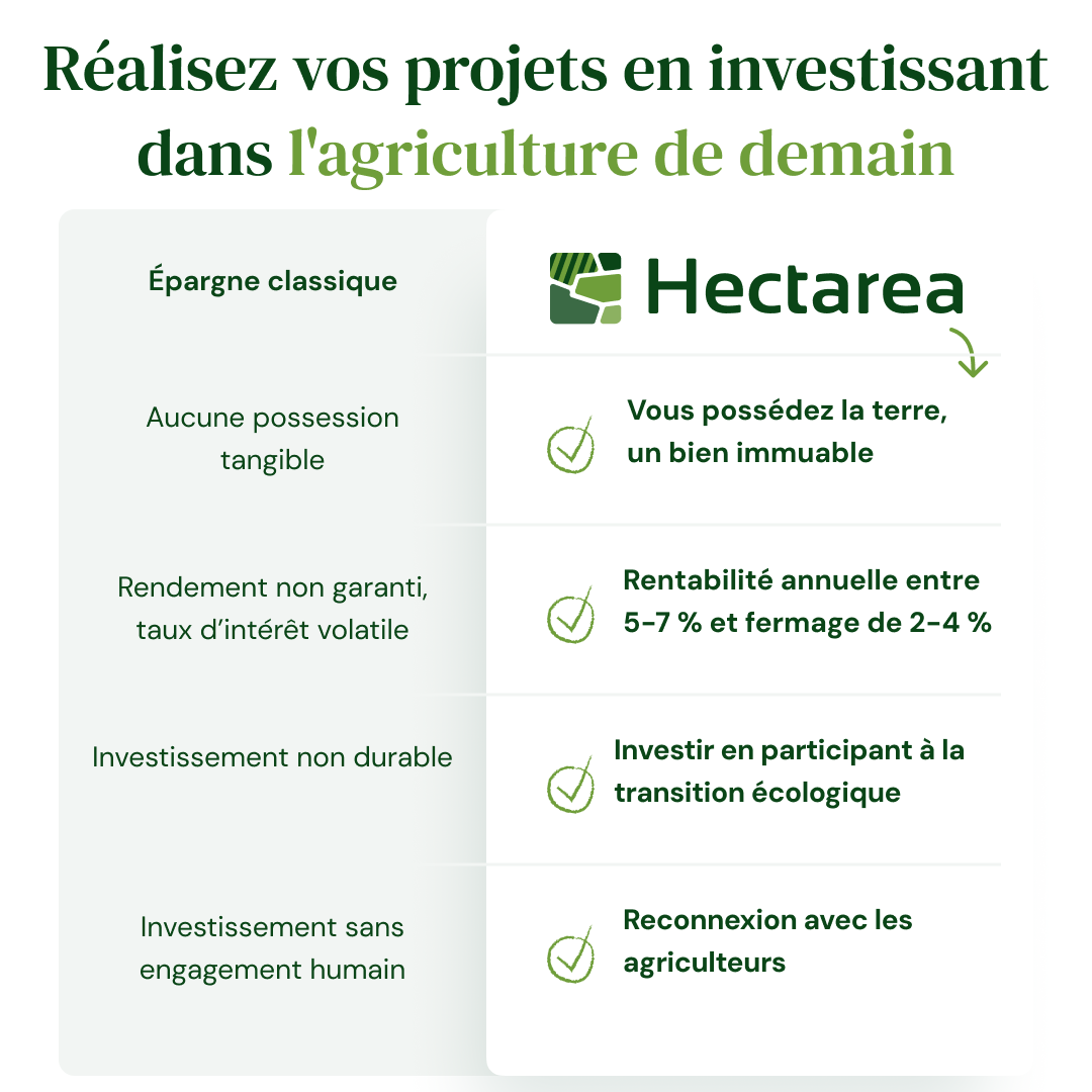 découvrez les clés de la rentabilité en agriculture ! optimisez vos techniques de culture, gérez vos coûts et augmentez vos profits grâce à des conseils pratiques et des stratégies efficaces pour un avenir durable.