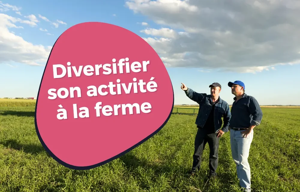 découvrez les clés de la rentabilité en agriculture : stratégies efficaces, techniques innovantes et meilleures pratiques pour optimiser vos récoltes et maximiser vos profits tout en préservant l'environnement.