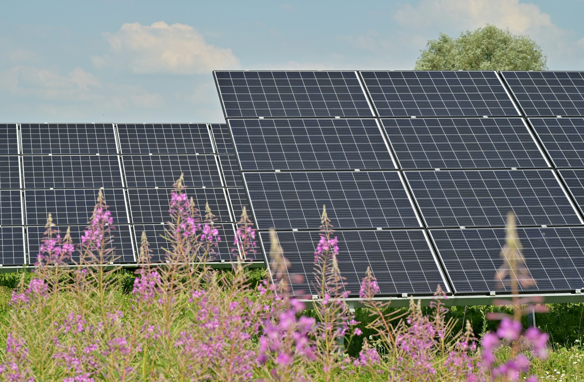 découvrez comment maximiser la rentabilité de vos panneaux solaires grâce à des astuces pratiques et des conseils d'experts. apprenez à évaluer votre investissement et à optimiser votre production d'énergie durable.