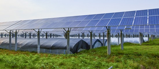 découvrez comment maximiser vos gains avec le revenu photovoltaïque. explorez les avantages financiers de l'énergie solaire, les différentes options de financement et les solutions adaptées pour transformer votre installation en une source de revenus durable et efficace.