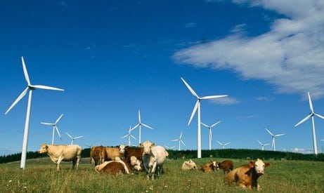 découvrez comment les agriculteurs peuvent diversifier leurs revenus grâce à l'énergie éolienne. apprenez les avantages de l'installation de turbines éoliennes sur votre exploitation agricole, les aides disponibles et les bénéfices écologiques.