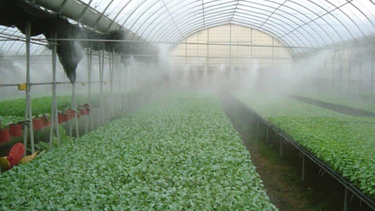 découvrez notre gamme de serres agricoles, conçues pour optimiser la culture de vos plantes tout en les protégeant des intempéries. idéales pour les professionnels et les particuliers, nos serres assurent une croissance optimale et une récolte abondante.