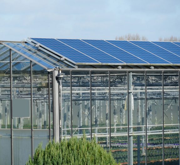 découvrez les avantages d'une serre solaire pour optimiser la croissance de vos plantes tout en économisant de l'énergie. idéale pour le jardinage durable, elle permet de profiter des bienfaits du soleil tout au long de l'année.