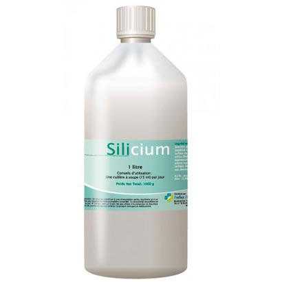 découvrez le silicium, un élément essentiel aux nombreuses applications dans l'industrie et la technologie. apprenez comment il contribue à l'innovation dans les domaines de l'électronique, de l'énergie, et de la santé, tout en explorant ses propriétés et ses avantages.