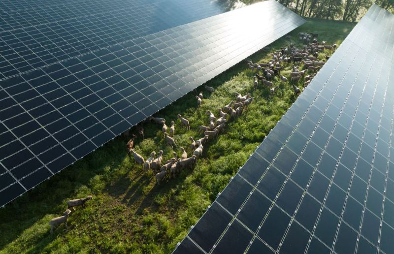 découvrez les solutions solaires proposées par edf pour une énergie renouvelable et durable. profitez de conseils personnalisés et d'offres avantageuses pour optimiser votre installation solaire.