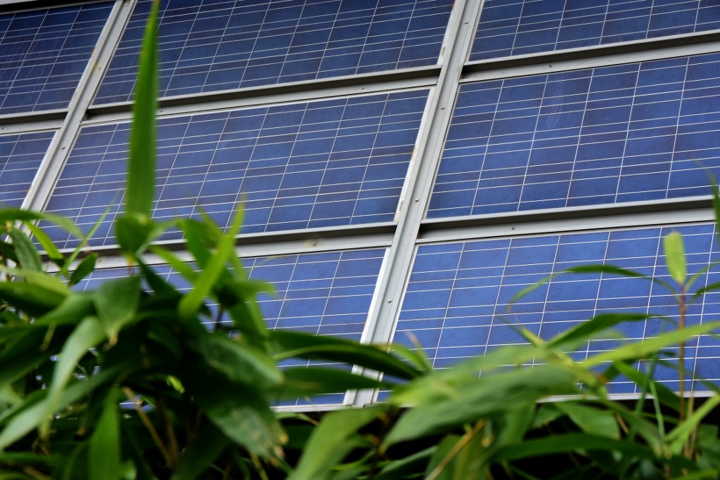 découvrez tout sur l'énergie solaire en france : avantages, installations, subventions et actualités pour un avenir durable. adoptez l'énergie renouvelable et réduisez votre empreinte carbone dès aujourd'hui.
