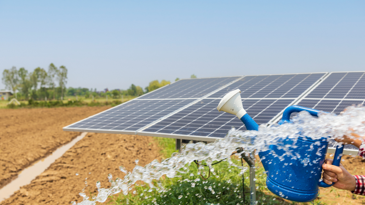 découvrez comment l'intégration de l'énergie solaire dans l'agriculture transforme les pratiques agricoles. explorez les avantages de l'agriculture solaire pour une production durable, une réduction des coûts et une empreinte environnementale minimisée.