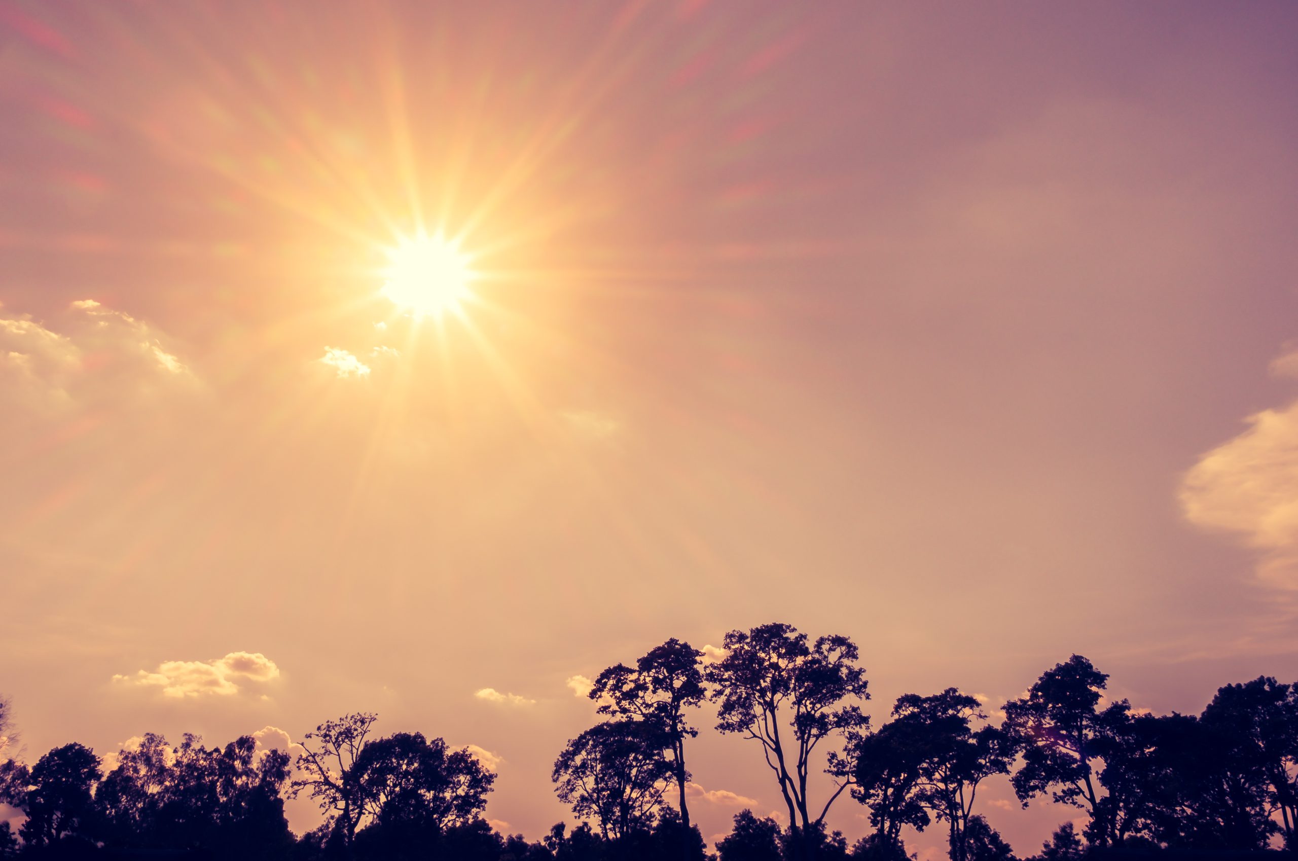 découvrez les bienfaits du soleil sur votre bien-être et votre santé. apprenez comment profiter de ses rayons en toute sécurité et explorez des activités estivales qui vous connectent à la nature.