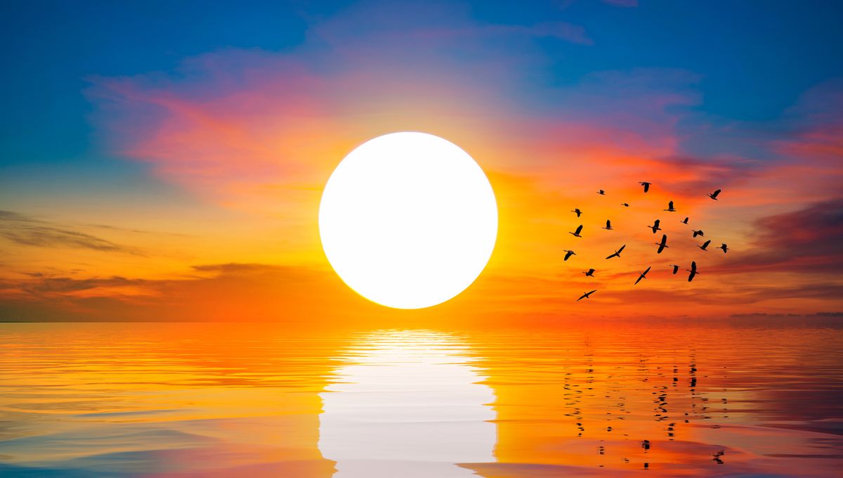 découvrez la beauté du soleil, source de lumière et de chaleur, symbole de vie et d'énergie. apprenez-en plus sur son impact sur notre planète, son rôle dans le climat et la biodiversité, ainsi que des conseils pour en profiter tout en préservant votre santé.