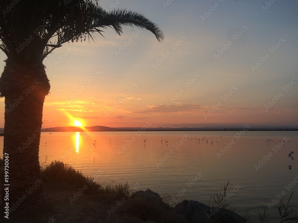 découvrez l'ambiance chaleureuse et lumineuse du soleil sud, un lieu où la douceur de vivre rencontre la beauté des paysages. idéal pour vos escapades ensoleillées, laissez-vous séduire par la culture, la gastronomie et les traditions du sud.