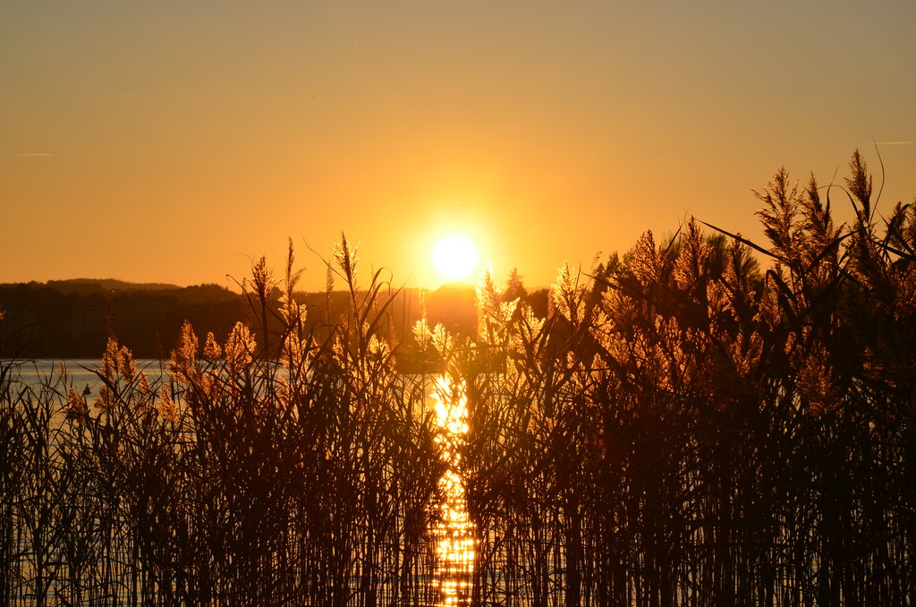 découvrez la beauté du sud de la france sous le soleil éclatant. profitez des paysages pittoresques, des plages dorées et de l'ambiance ensoleillée tout au long de l'année. laissez-vous séduire par la culture, la gastronomie et les activités en plein air dans cette région enchanteresse.