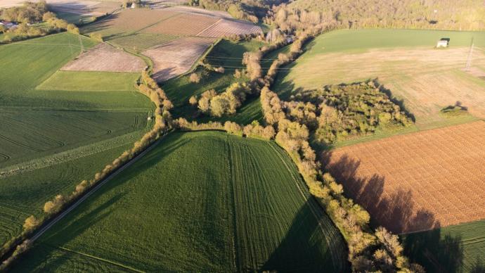 découvrez comment bénéficier de notre soutien agricole gratuit pour optimiser vos récoltes, accéder à des ressources essentielles et recevoir des conseils d'experts afin de développer votre exploitation et améliorer votre rendement.