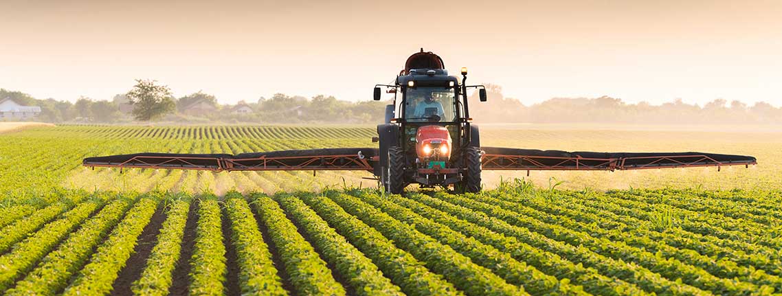découvrez l'univers de l'agriculture : des techniques modernes aux pratiques durables, explorez comment l'agriculture façonne notre environnement et alimente nos sociétés.