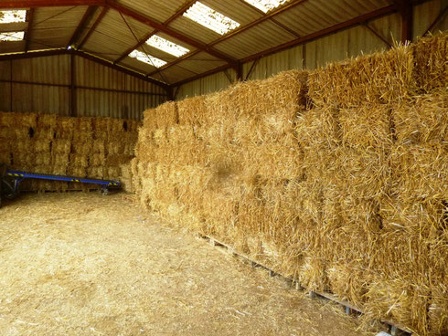 découvrez nos solutions innovantes pour le stockage de paille, garantissant préservation et durabilité. idéal pour les agriculteurs et éleveurs, optimisez votre espace tout en protégeant vos réserves.