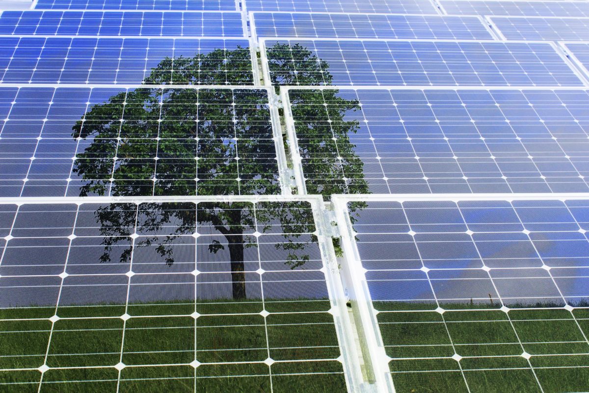 découvrez les solutions de stockage solaire adaptées à vos besoins énergétiques. profitez d'une autonomie énergétique tout en réduisant votre empreinte carbone grâce à des systèmes performants et innovants pour stocker l'énergie solaire efficacement.