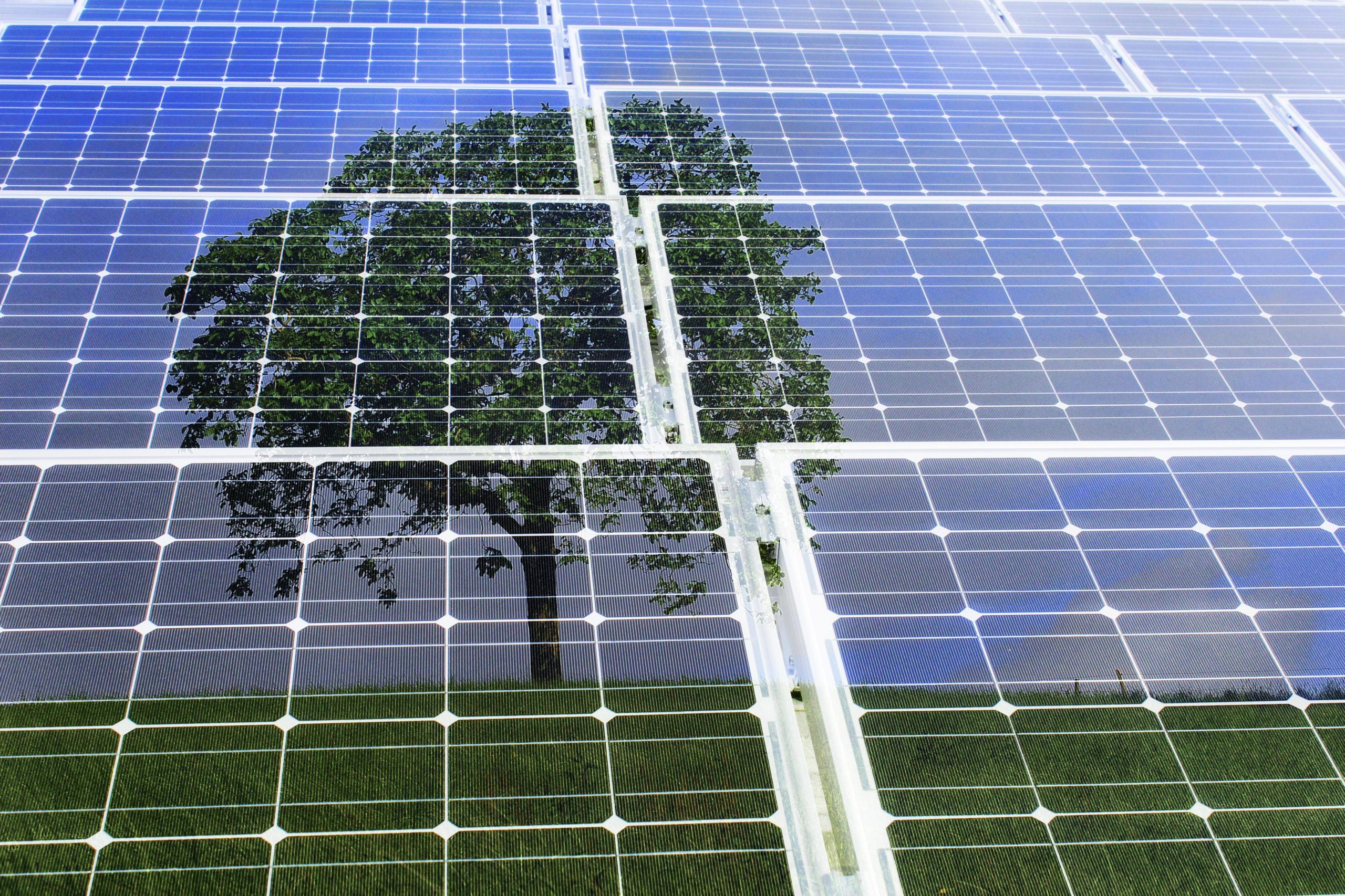 découvrez comment le stockage solaire révolutionne la gestion de l'énergie renouvelable. optimisez votre autoconsommation, réduisez vos factures et contribuez à un avenir durable grâce à des solutions de stockage efficaces et innovantes.