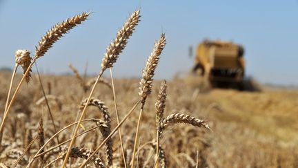 découvrez les subventions agricoles de 2020, une opportunité essentielle pour les agriculteurs. informez-vous sur les critères d'éligibilité, les aides disponibles et les démarches à suivre pour bénéficier de ces financements qui soutiennent le développement du secteur agricole.