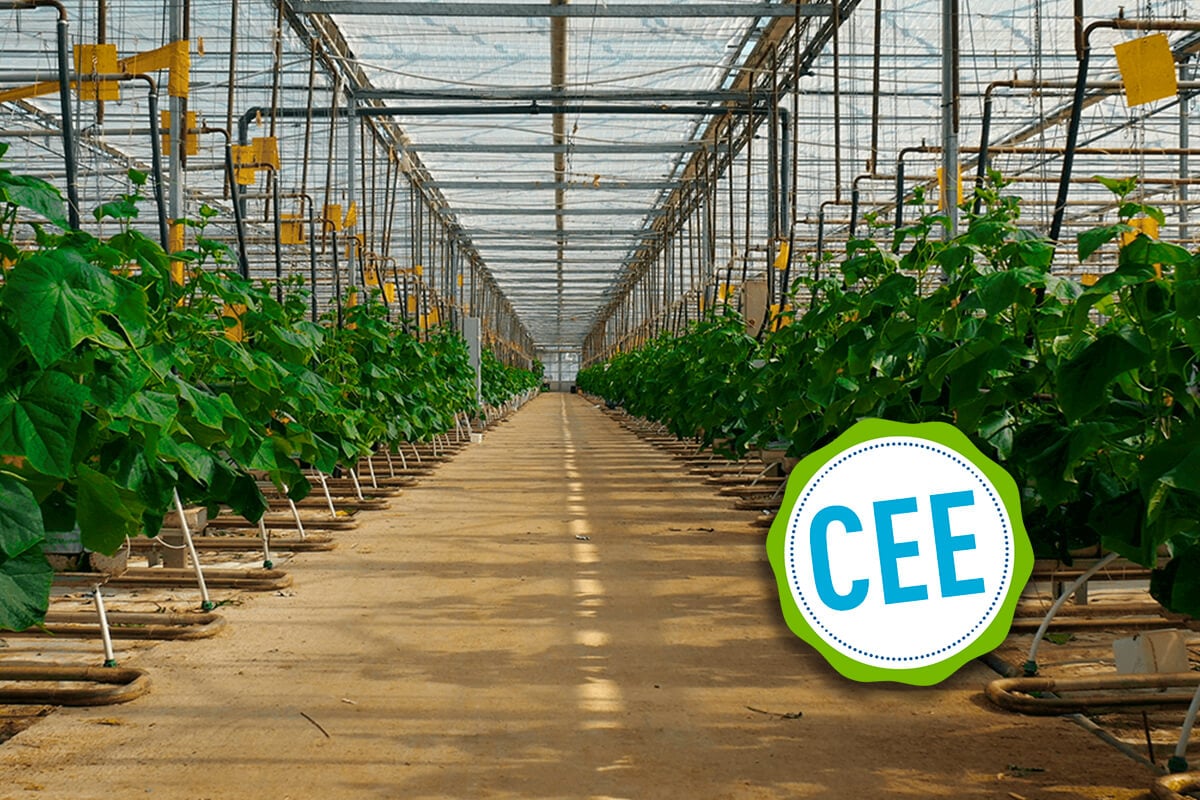 découvrez tout ce que vous devez savoir sur les subventions agricoles de 2020 : critères d'éligibilité, types de aides disponibles et démarches à suivre pour bénéficier de ce soutien essentiel pour votre exploitation.