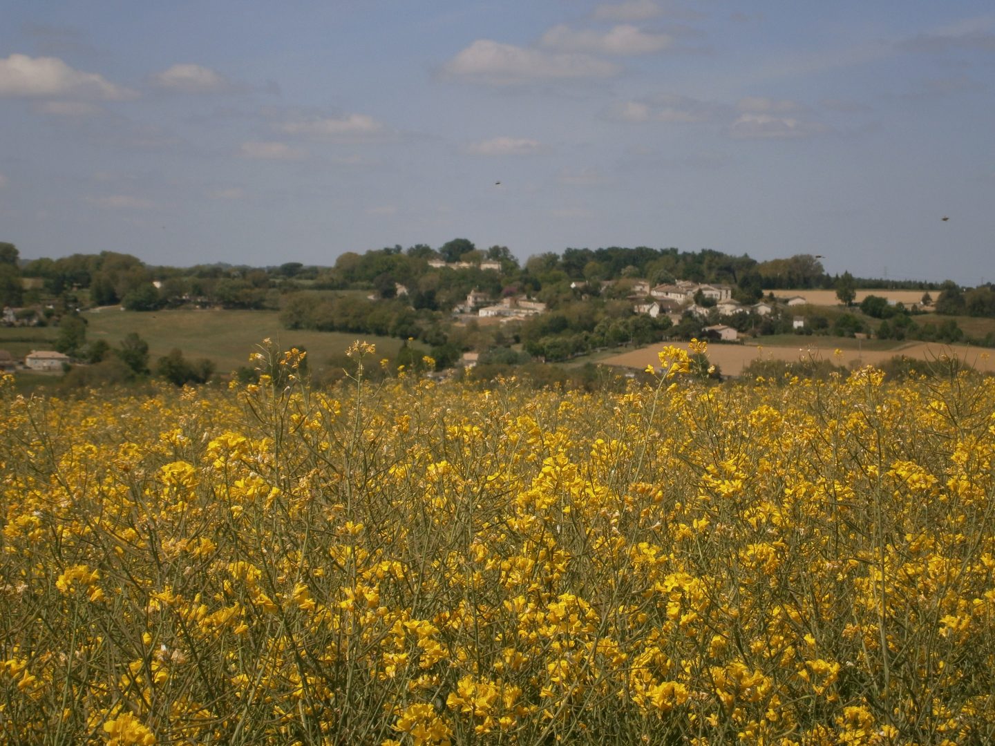 découvrez les opportunités de subvention agricole en 2020, conçues pour aider les agriculteurs à améliorer leur rendement, adopter des pratiques durables et soutenir la croissance du secteur agricole. renseignez-vous sur les critères d'éligibilité, les types de subventions disponibles et comment en faire la demande.