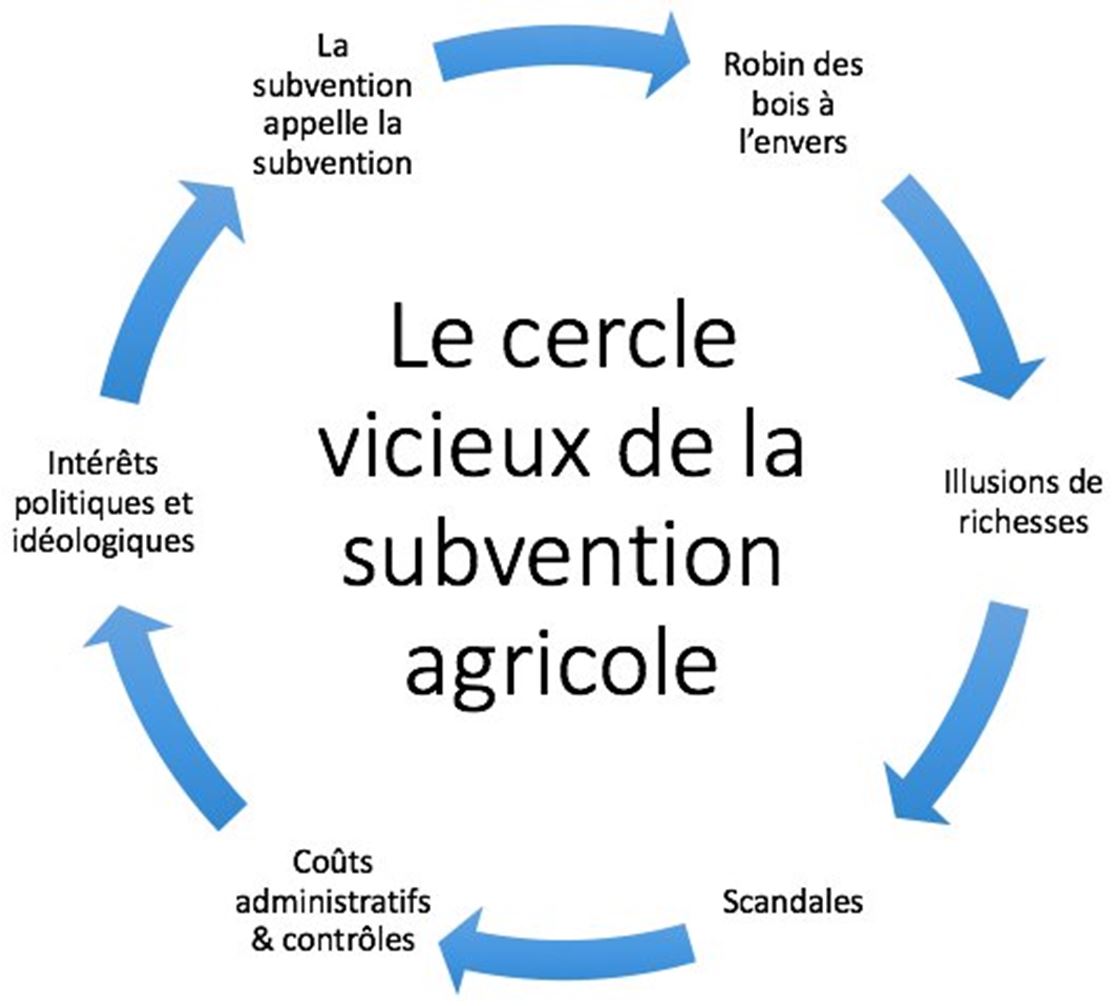 découvrez les opportunités de subventions agricoles pour l'année 2025. dans cet article, explorez les programmes de soutien financier disponibles pour les agriculteurs, les conditions d'éligibilité et les démarches à suivre pour maximiser vos chances d'obtenir une aide. ne manquez pas cette chance de booster votre exploitation agricole !