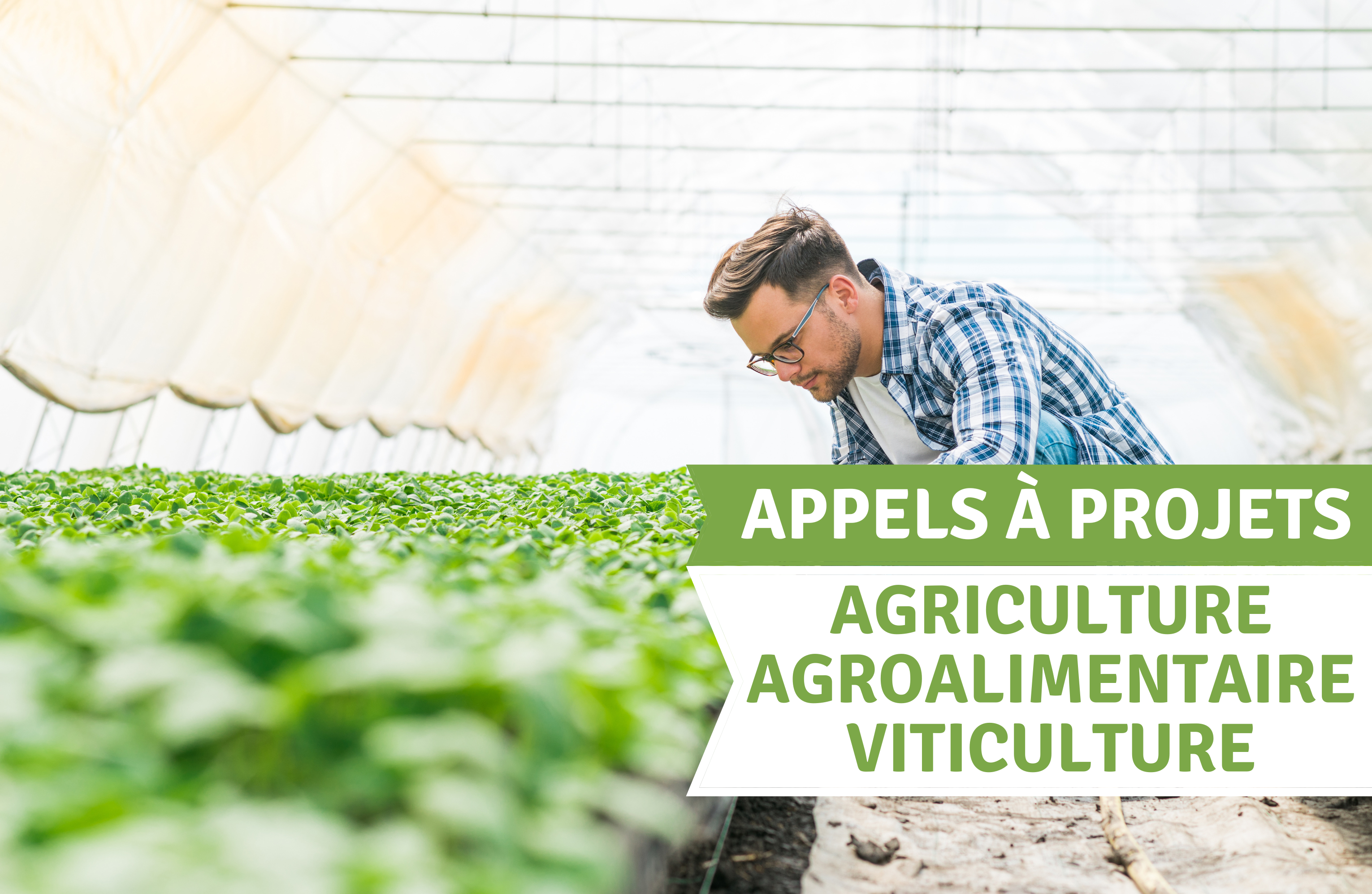 découvrez les opportunités de subvention agricole pour 2025, un guide complet pour les agriculteurs et les exploitants souhaitant bénéficier d'aides financières pour moderniser leurs activités et promouvoir une agriculture durable.