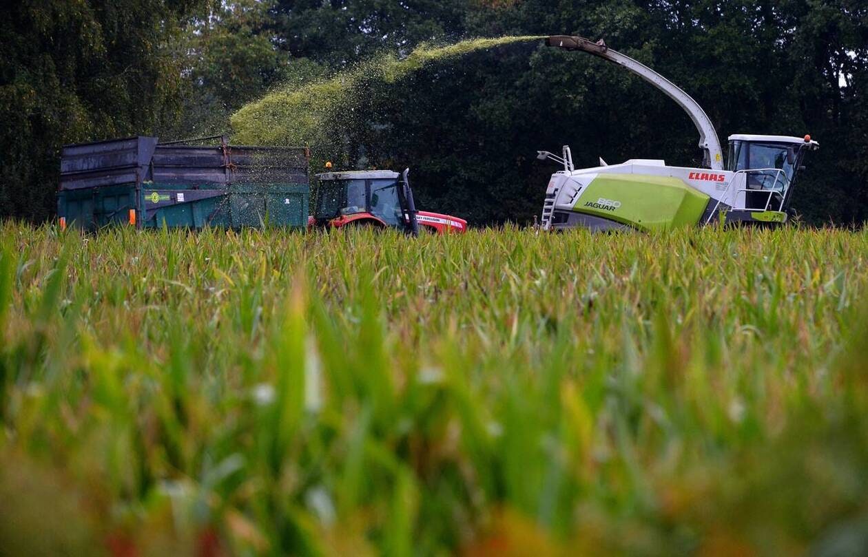 découvrez les opportunités de subventions agricoles pour l'année 2025, conçues pour soutenir les agriculteurs dans l'amélioration de leurs pratiques, l'innovation et la durabilité. renseignez-vous sur les critères d'admissibilité et les programmes disponibles pour maximiser votre aide financière.