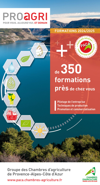 découvrez les opportunités de subventions en région paca pour l'année 2025. bénéficiez d'un soutien financier pour vos projets d'innovation, de développement durable et d'entrepreneuriat grâce aux aides régionales. renseignez-vous sur les critères d'éligibilité et maximisez vos chances de réussir.