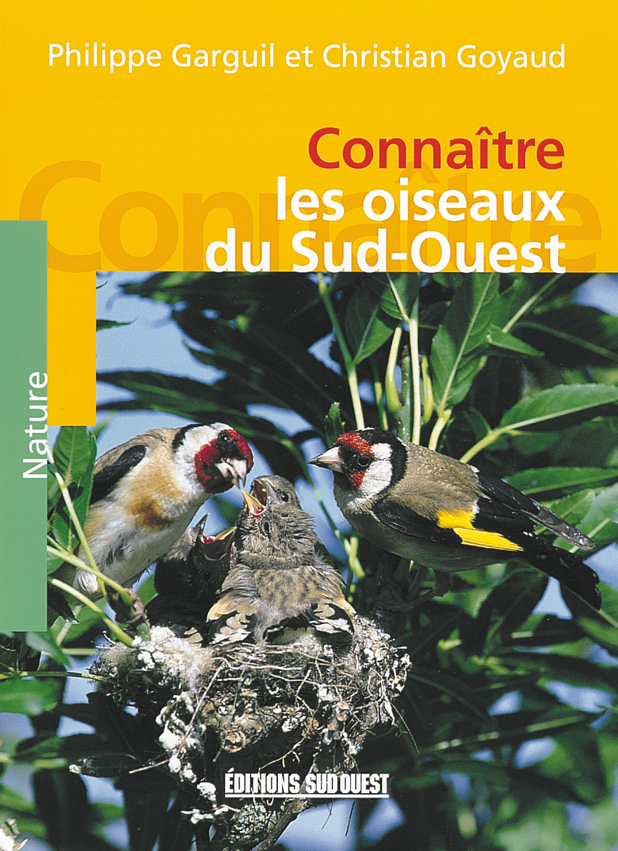 découvrez le sud-ouest de la france, une région riche en culture, paysages pittoresques et gastronomie délicieuse. explorez ses villes historiques, ses campagnes verdoyantes et ses spécialités culinaires lors de vos prochaines vacances.