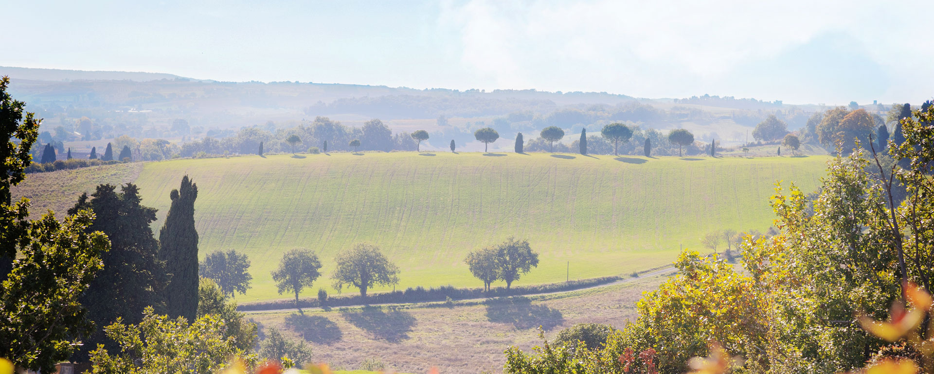 découvrez le sud-ouest de la france, une région riche en paysages envoûtants, en gastronomie savoureuse et en traditions culturelles. explorez ses charmantes villes, ses collines verdoyantes et profitez de l'hospitalité de ses habitants.
