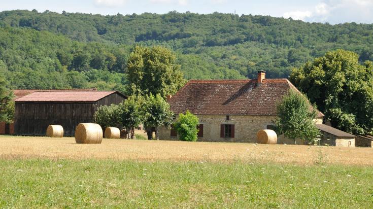 découvrez nos tarifs compétitifs pour la location de bâtiments agricoles adaptés à vos besoins. que vous soyez agriculteur ou entrepreneur, trouvez l'option idéale pour stocker vos équipements ou abriter votre production. contactez-nous dès maintenant pour un devis personnalisé.