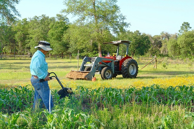 découvrez nos terrains agricoles disponibles à la vente, idéaux pour les projets d'exploitation agricole. profitez d'un emplacement stratégique, d'une bonne accessibilité et d'un potentiel de rendement élevé. investissez dans l'avenir de l'agriculture avec nos offres irrésistibles.