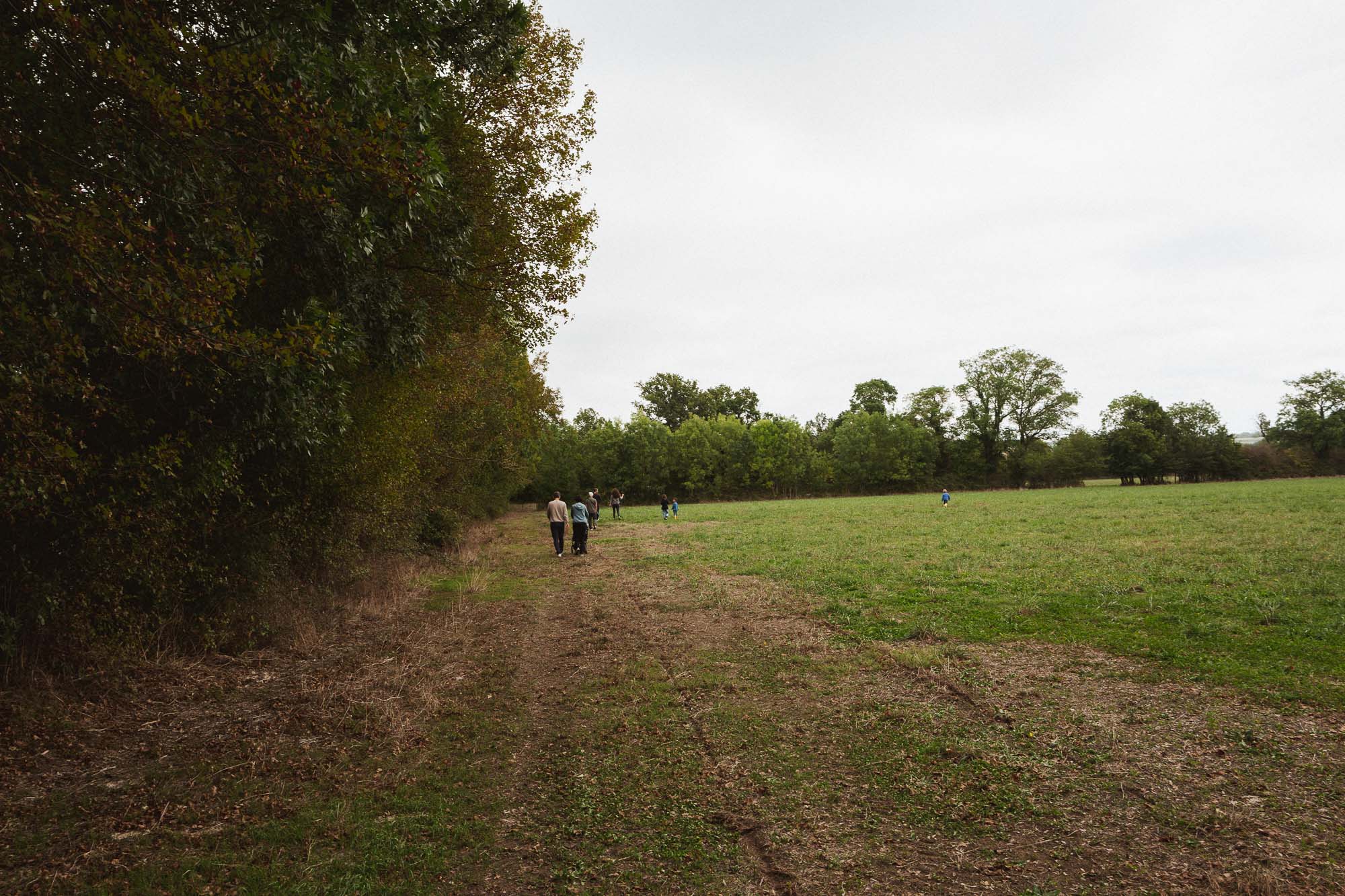 découvrez notre terrain agricole à vendre, idéal pour vos projets d'agriculture ou d'élevage. situé dans une région fertile, ce terrain offre de nombreuses possibilités de culture, un accès facile aux routes principales et un environnement serein. ne manquez pas cette opportunité d'investir dans la terre.