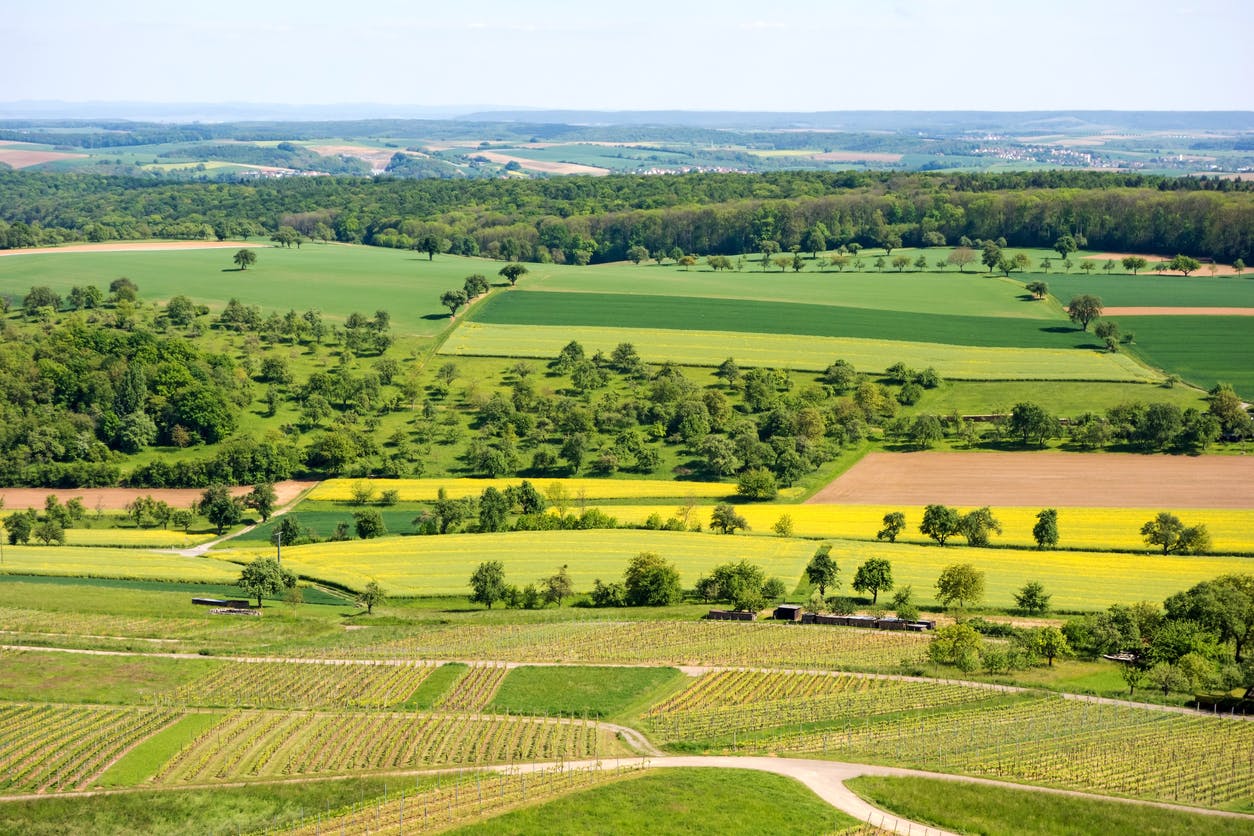 découvrez nos terrains agricoles à vendre, idéaux pour vos projets de culture ou d'élevage. profitez d'un emplacement stratégique, d'une terre fertile et de nombreuses opportunités d'investissement dans le secteur agricole.