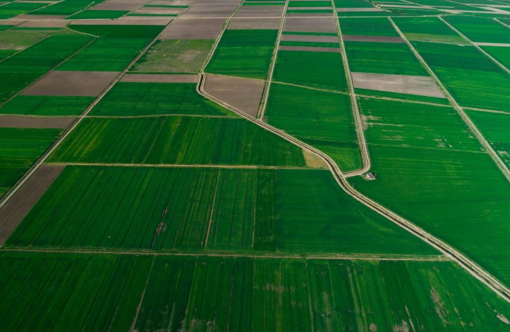 découvrez notre sélection de terrains agricoles à vendre, idéaux pour vos projets agricoles. profitez d'un emplacement stratégique, de terres riches et fertiles, et d'un accès à des ressources essentielles pour optimiser votre production. investissez dans l'avenir de l'agriculture!
