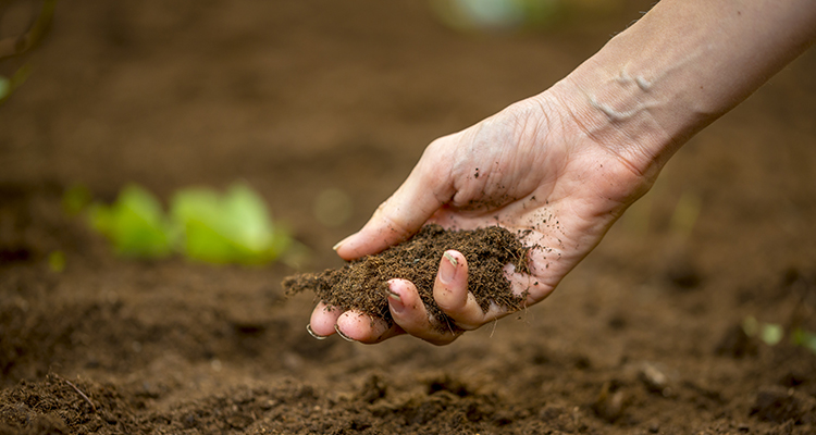 découvrez notre terrain agricole idéal pour vos projets de culture. situé dans une région fertile, ce terrain offre des possibilités infinies pour l'agriculture durable et la agroécologie. profitez d'un espace propice à la croissance et à la prospérité de votre exploitation.