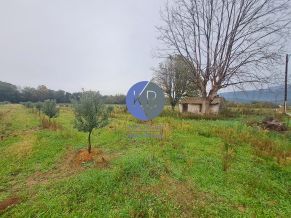 découvrez les meilleures opportunités de terrain agricole en paca. profitez d'un climat exceptionnel et d'un riche patrimoine agricole pour développer vos projets. que vous souhaitiez cultiver des fruits, légumes ou plantes aromatiques, trouvez le terrain idéal en provence-alpes-côte d'azur.