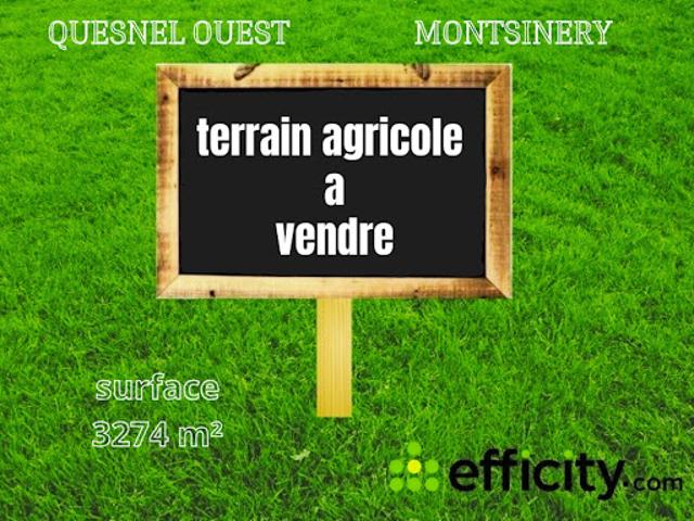 découvrez les prix au mètre carré des terrains agricoles en france. informez-vous sur les tendances du marché, les facteurs influençant les coûts et les conseils pour un investissement réussi dans l'immobilier agricole.