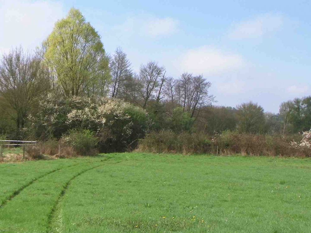 découvrez nos terrains agricoles à vendre, idéaux pour vos projets d'agriculture. profitez d'espaces fertiles, bien situés et adaptés à diverses cultures, avec un accès facile aux infrastructures nécessaires. investissez dans l'avenir de votre exploitation!