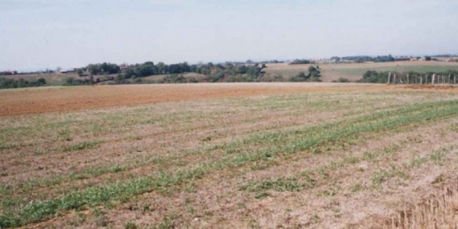 découvrez nos terrains agricoles à vendre, idéaux pour vos projets d'exploitation agricole. profitez d'espaces fertiles, d'un accès facile et d'une localisation stratégique pour maximiser votre rendement. investissez dans la terre pour cultiver l'avenir !
