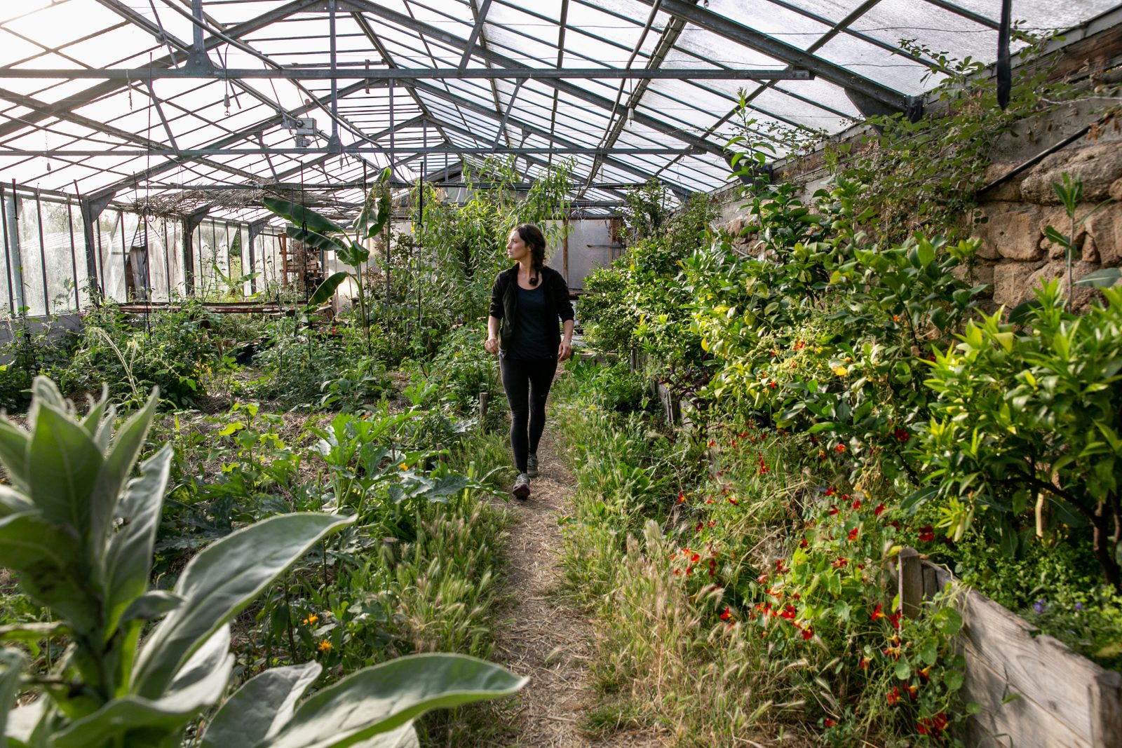 découvrez 'terre et humanisme', une initiative engagée qui promeut l'agroécologie et le lien entre l'homme et la nature. rejoignez-nous pour apprendre des pratiques durables et contribuer à un monde plus respectueux de l'environnement.