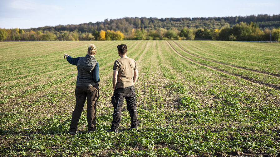 découvrez l'importance des terres agricoles pour l'environnement et l'économie. explorez leur rôle dans la production alimentaire, la biodiversité et le développement durable. apprenez comment préserver et valoriser ces ressources essentielles pour les générations futures.