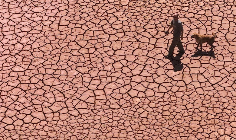 découvrez l'importance des terres agricoles, leur impact sur l'agriculture durable et l'environnement, ainsi que les enjeux économiques et écologiques liés à leur préservation.