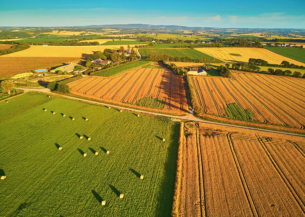 découvrez l'importance des terres agricoles pour la sécurité alimentaire, la biodiversité et le développement durable. explorez les pratiques agricoles innovantes et les enjeux liés à la préservation de ces précieuses ressources.